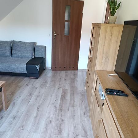 A I M Apartment Wisełka Екстериор снимка